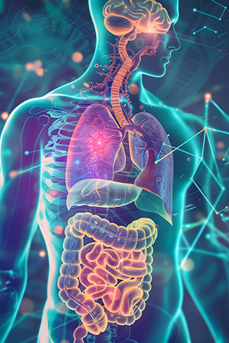 Human body showing neural and digestive system connection